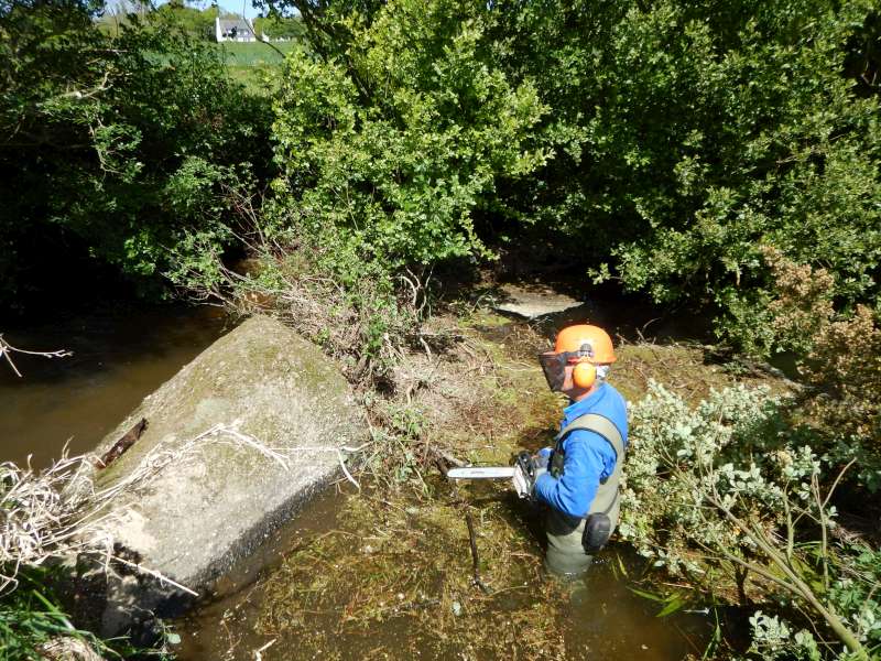 Alors: le bleu avec la grille, c'est moi...
