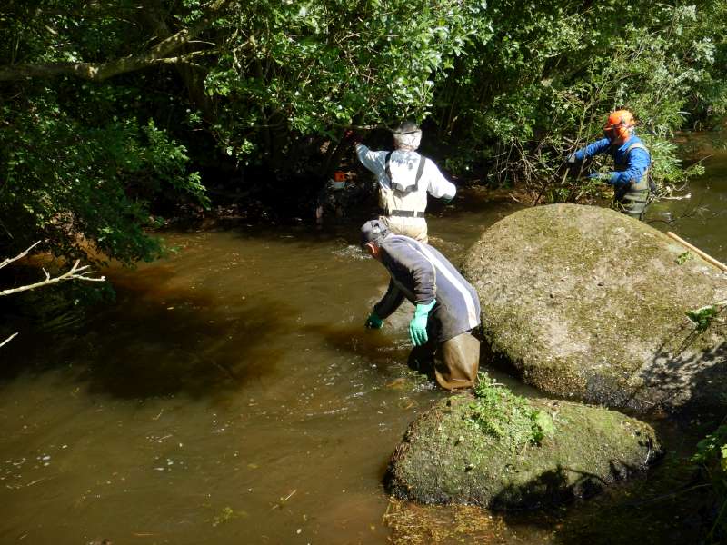 Un de nos Michel, Guy, et...