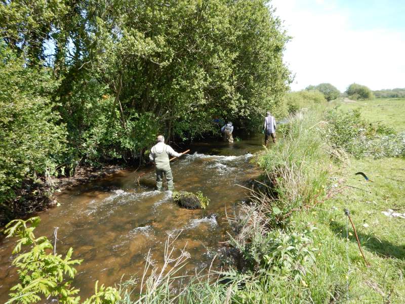 Michel r�cup�re les branches qui d�rivent