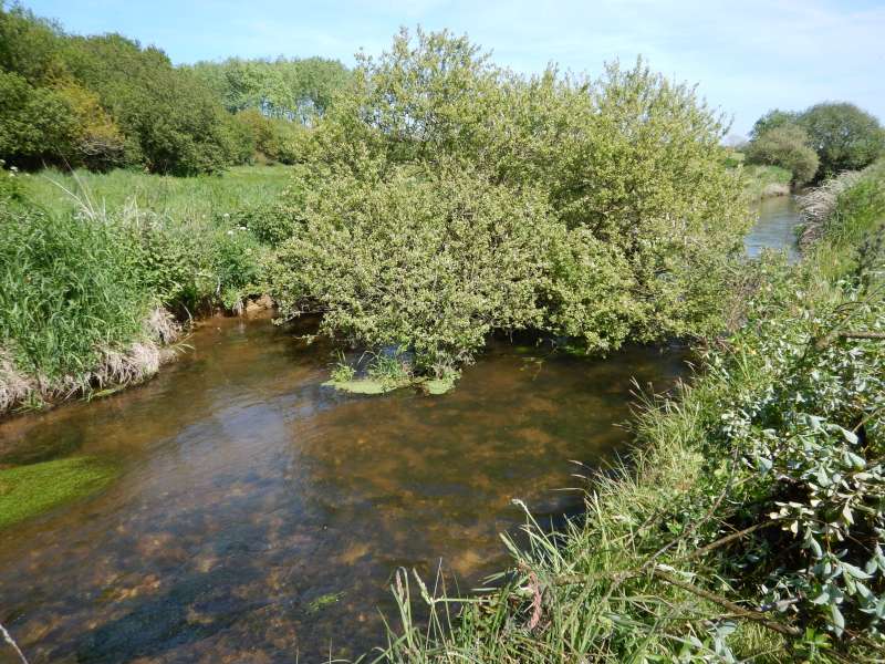 Allez, un p'tit dernier pour la route?