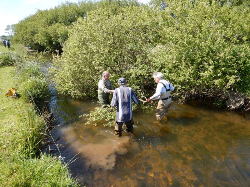 2 Michel, et Guy au boulot... pardon, au saule!