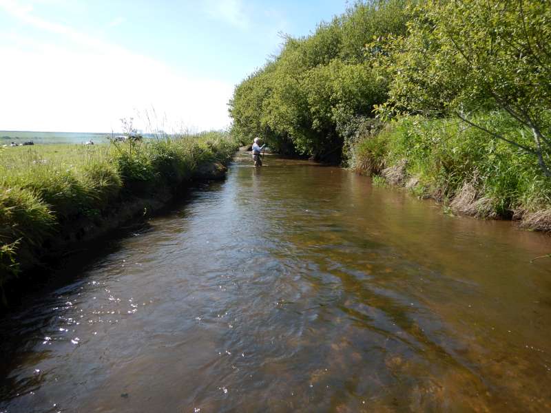 Elle n'est pas belle, notre rivi�re?
