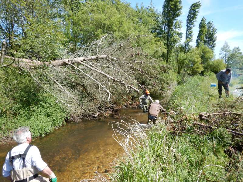 Premier gros chantier, qui va nous occuper un bon moment!