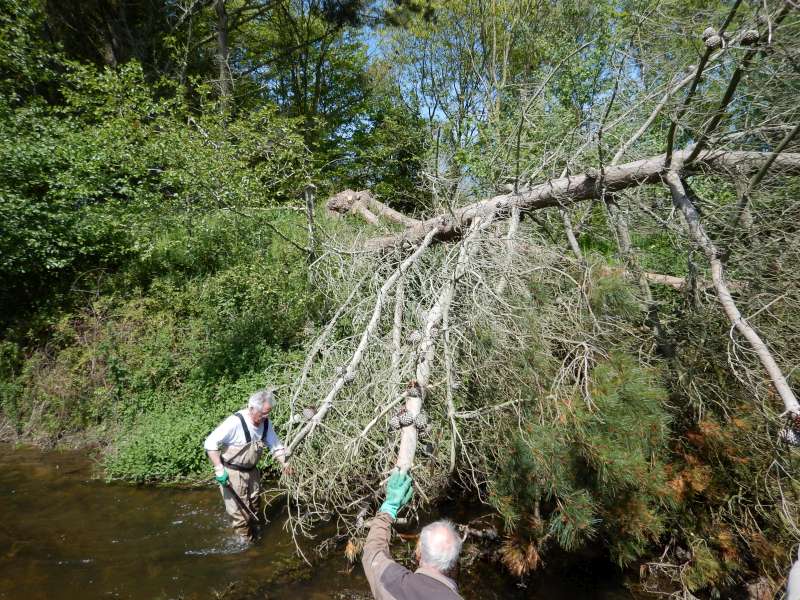 Guy et Jean-Yves se frayent un chemin dans les aiguilles de pin