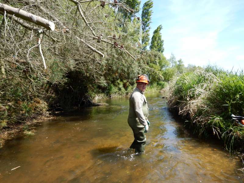 Michel, apr�s avoir �lagu� le plus gros des branches