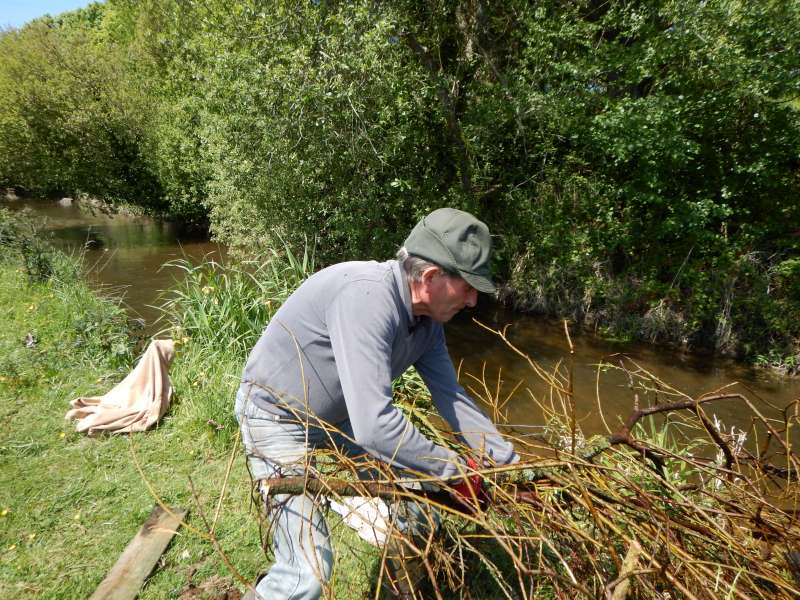 Pierrot est � la r�cup�ration des branchages