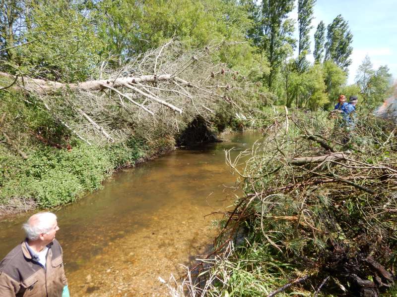 Voil�, le propri�taire du terrain fera le reste, s'il le veut bien.