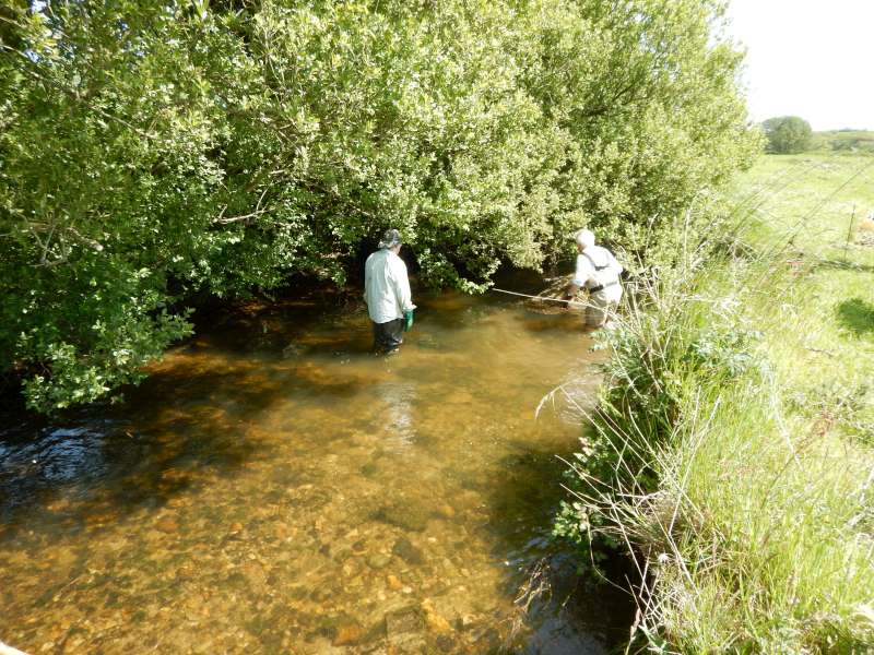 Et voici le second chantier...