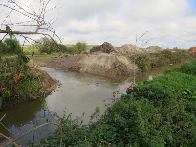 Ici, les poissons peuvent choisir...pour l'instant.