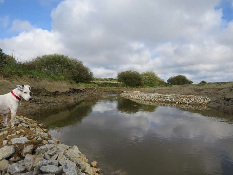 Je crois bien que j'ai vu un poisson!...