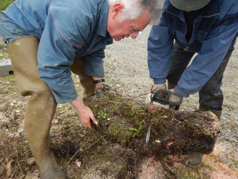 11 - Derni�re coupe...