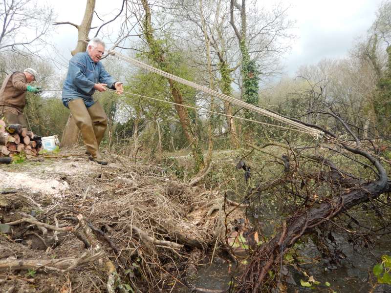 6 - Et ce sont Guy et Jean-Yves qui sortent l'arbre de sa gangue