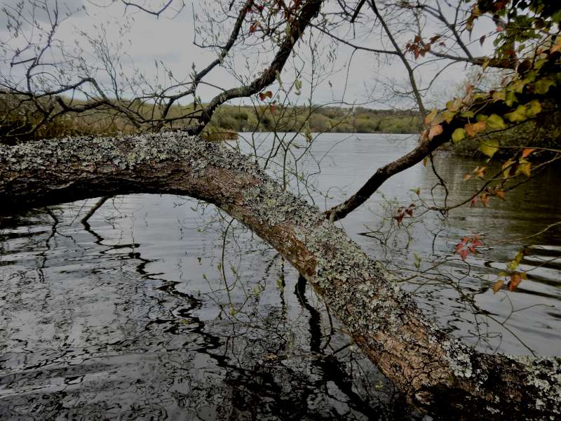 9 - Ca y est, on aper�oit le lac!