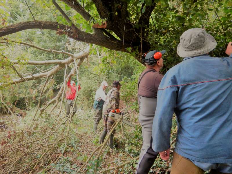 1 - Il faut ouvrir le chemin pour approcher de l'eau