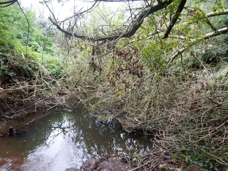 2 - Voil� de quoi s'occuper!