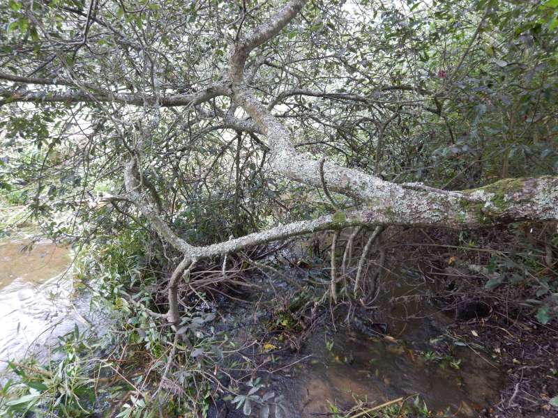 4 - Heureusement que nous sommes bien repos�s...