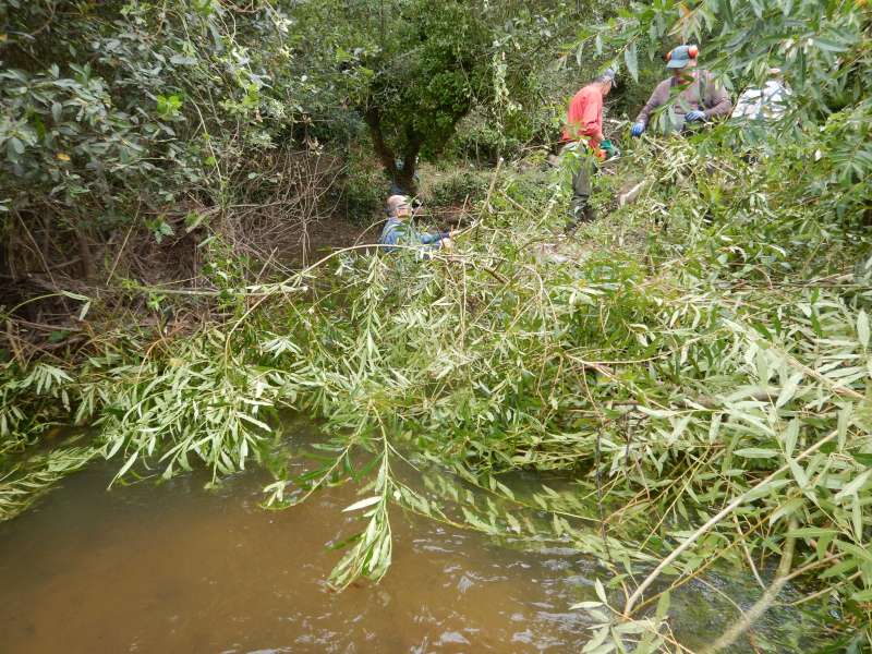 5 - Et au milieu coule une rivi�re...si-si!