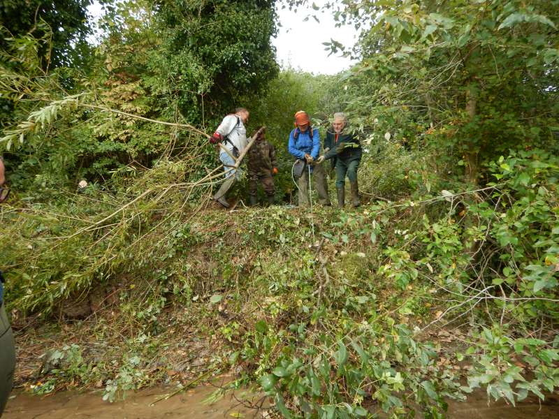 6 - Il faut d�gager des emplacements pour sortir les branchages