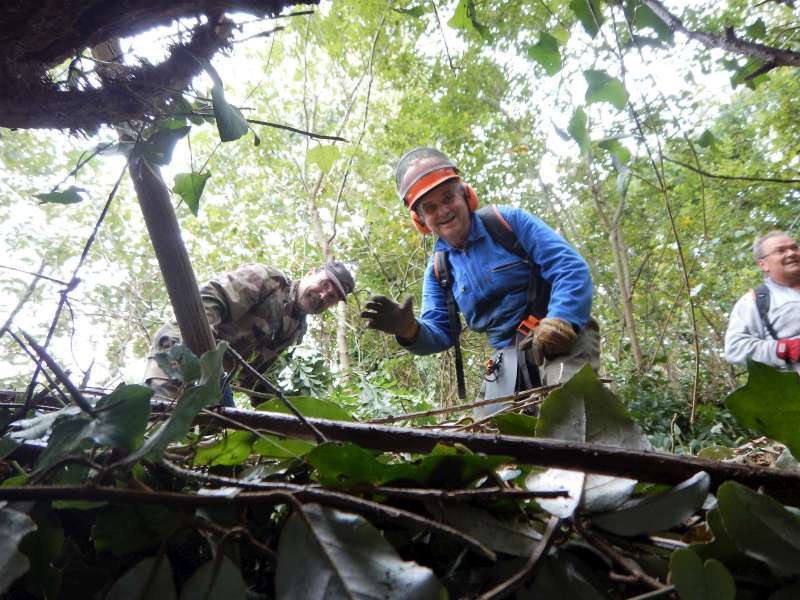 7 - Coucou, je vous vois!