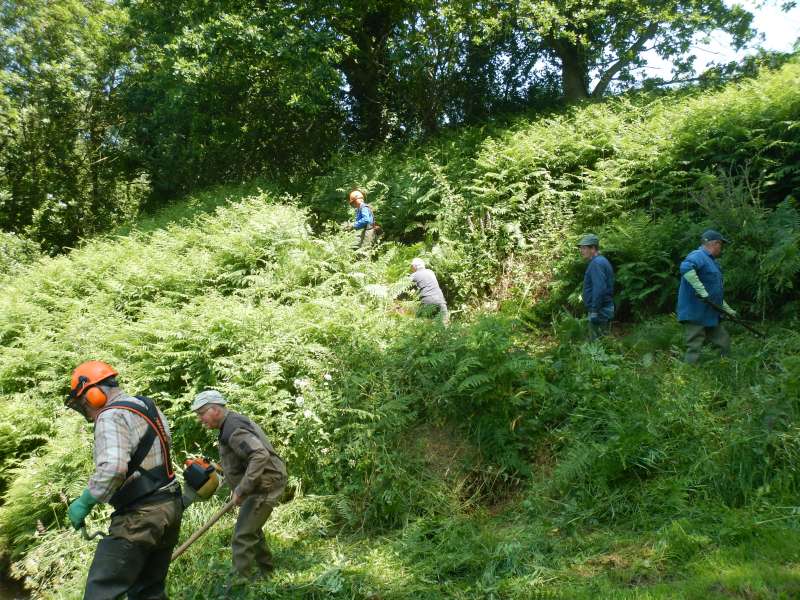 1 - D'abord se d�gager un chemin d'acc�s...