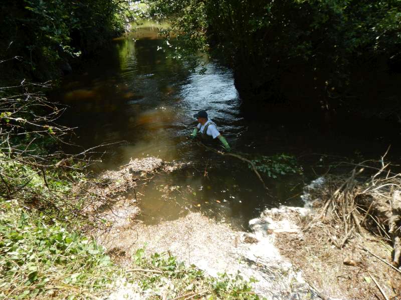 3 - Michel d�couvre la surprise du jour