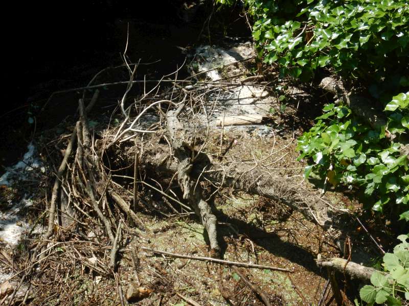 4 - Un bel embacle qui va donner du fil � retordre