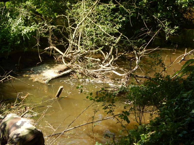 7 - Encore un effort!...