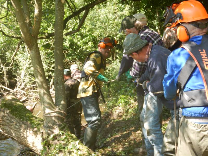 8 - Avec tous ces bras, rien ne r�siste