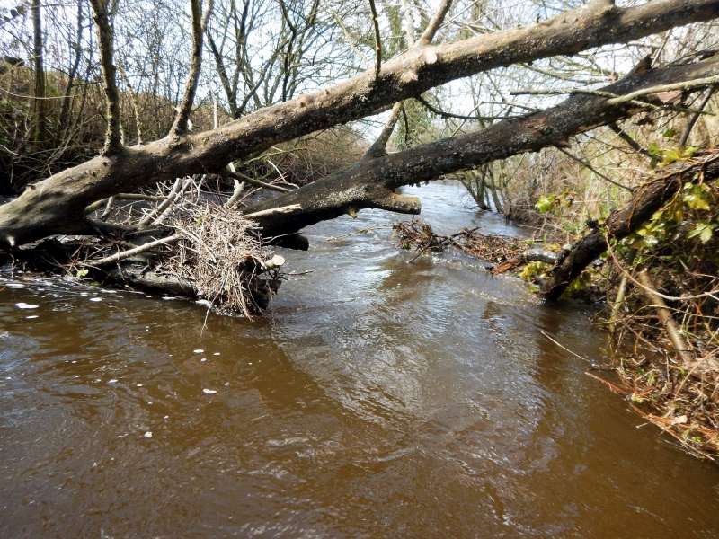 1 - Voici l'objet de nos tourments!