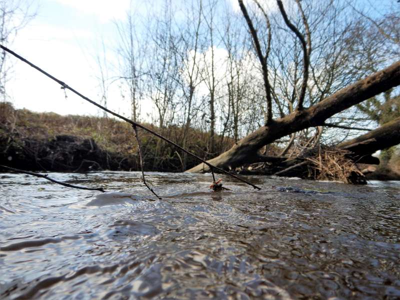 3 - L'arbre n'a pas l'intention de se laisser faire!