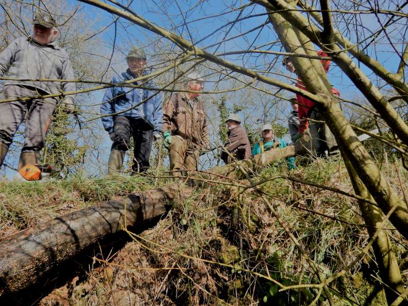 4 - Le comit� de direction organise une s�ance de r�flexion...