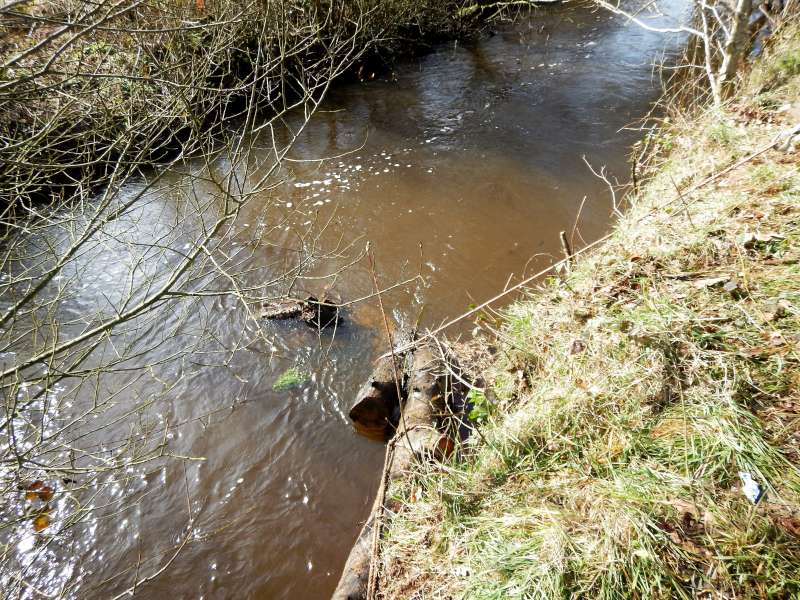 7 - Le tronc est fermement attach� par notre plongeur...