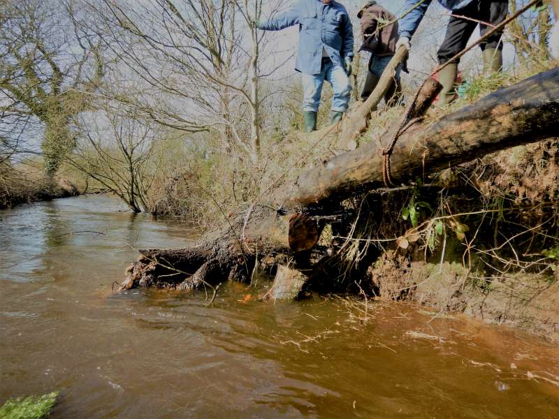 9 - L'arbre remonte comme pr�vu, au prix de gros efforts
