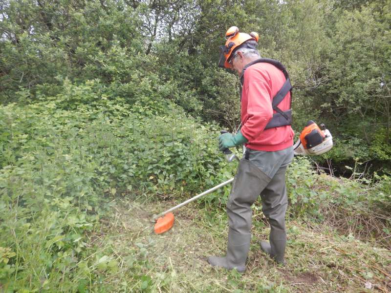 4 - Joe, d�brousailleur du jour