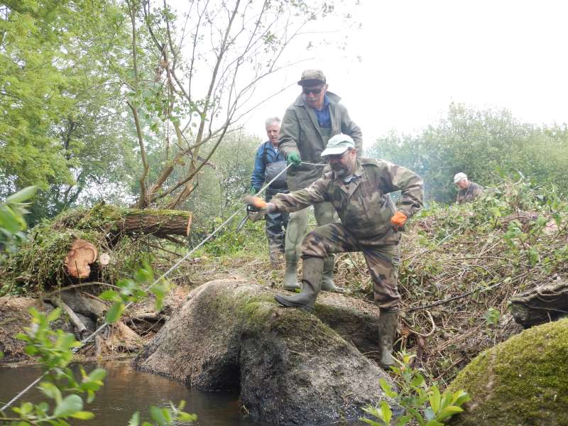 5 - Certainement une belle prise...