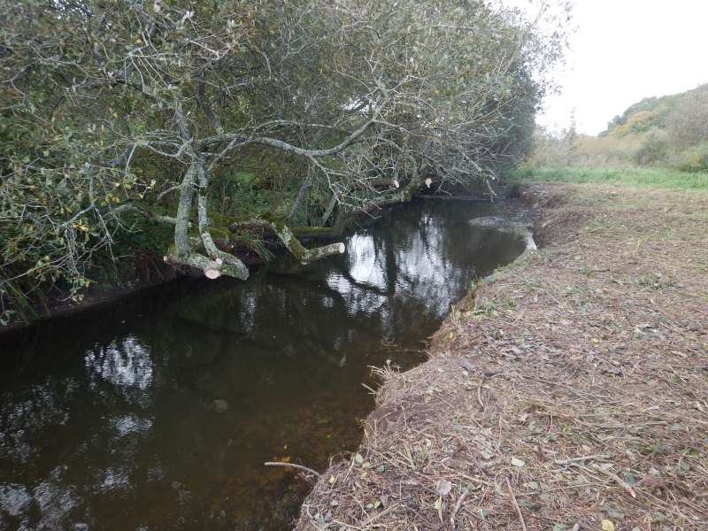 10 - Et voil� le salaire de nos efforts!