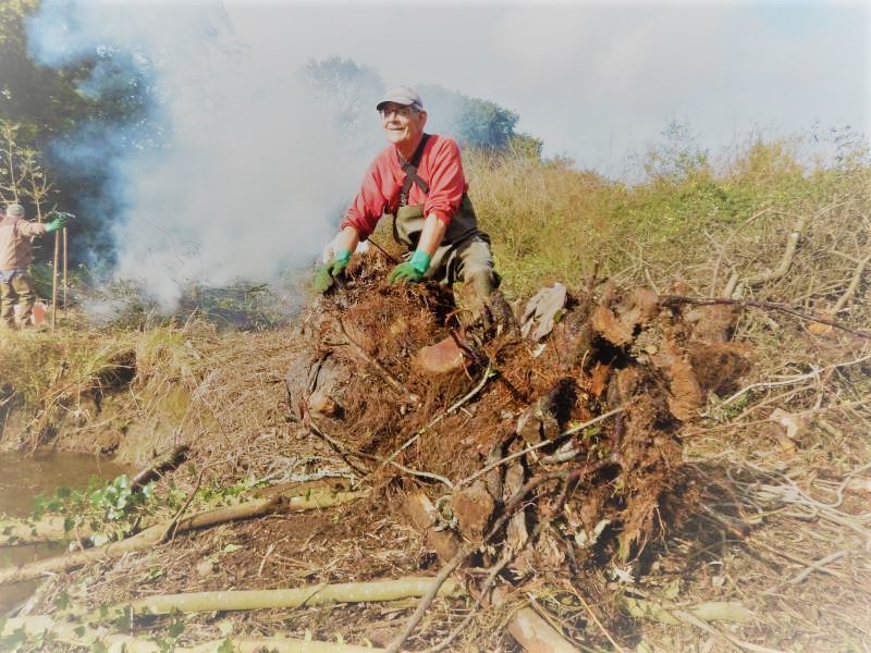 3 - Et la souche est sortie!