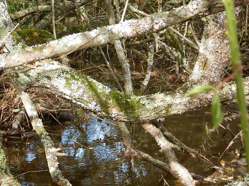 4 - Mais la suite est prometteuse!