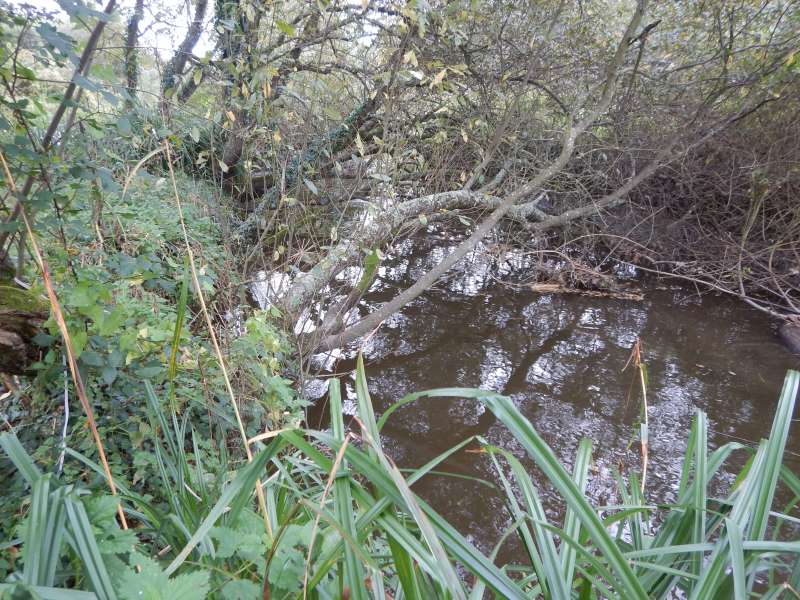 5 - Ouais... ce n'est pas encore gagn�.