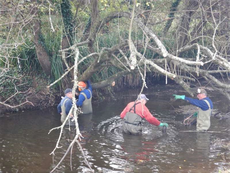 9 - On commence � voir le jour!