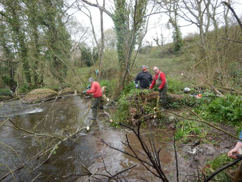 3 - Jo�l: Tron�onneur, et �quilibriste