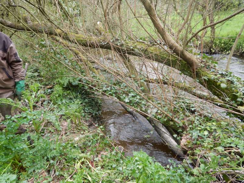 4 - Celui-l� n'est pas tomb� hier