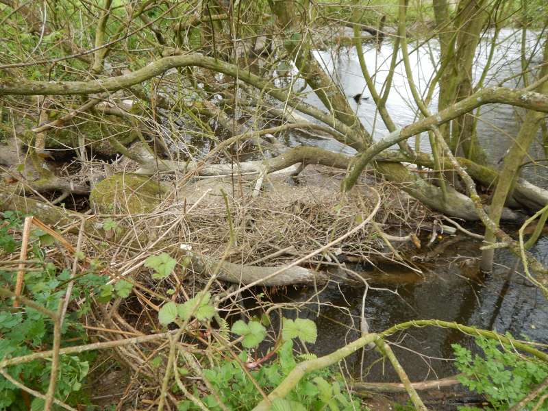 8 - Fin du chantier, et d�but du prochain