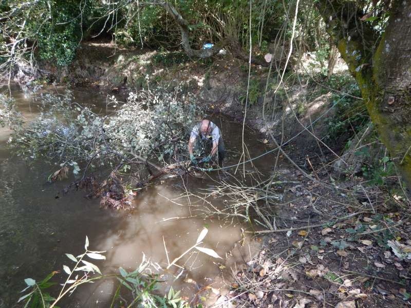 2 - Michel se lance dans les noeuds de marin!
