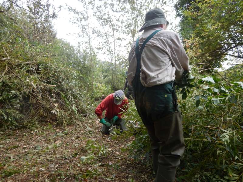 3 - Maintenance de tron�onneuse...