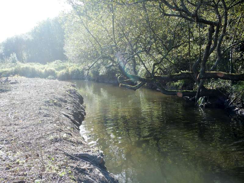 11 - Les moucheurs pourront prendre du plaisir