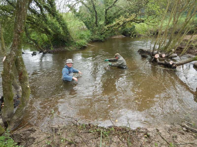 1 - Les baigneurs amarrent une souche � la d�rive