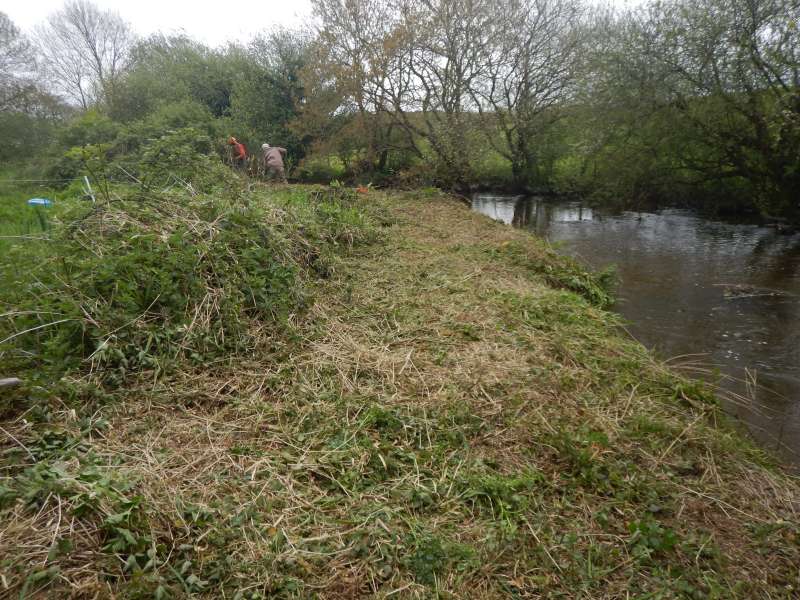 2 - Les d�brousailleuses font place nette