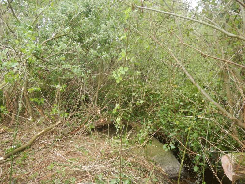 8 - Fin de l'�tape, et d�but de la prochaine!