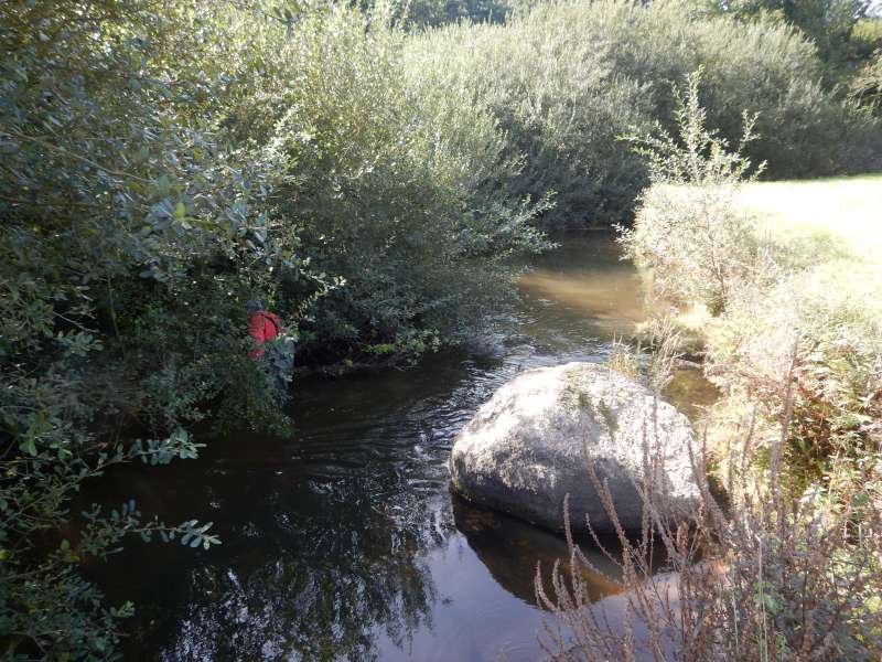 5 - Ceci n'est pas une truite, mais Joe dans ses oeuvres!